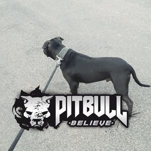 Meet your Posher, Auren